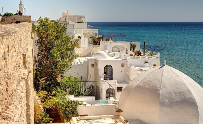 White buildings with domed roofs overlook the Mediterranean Sea in a picturesque coastal town, surrounded by greenery and a stone wall. Experience Tunisia's unique charm and explore its beauty with our tailor-made Tunisia private tours.