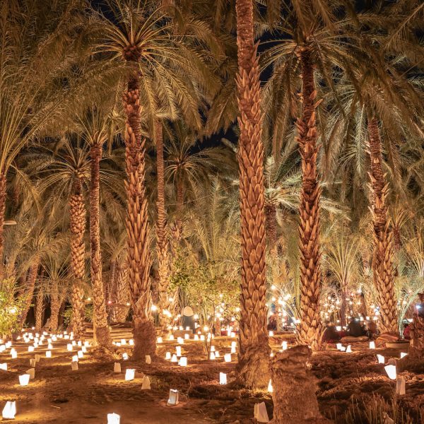 A grove of palm trees illuminated by numerous small lanterns on the ground creates a warm and inviting atmosphere at night, perfect for those seeking to experience Tunisia. This enchanting setting invites you to explore more with tailor-made Tunisia private tours.